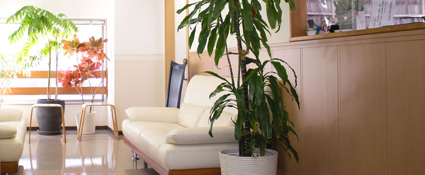 �������N���j�b�N���S