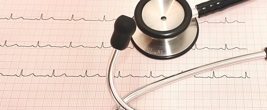 �������N���j�b�N���S